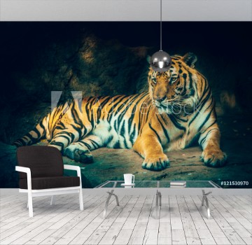 Bild på tiger with stone mountain background in dark grim majestic dangerous frightening feeling color effect